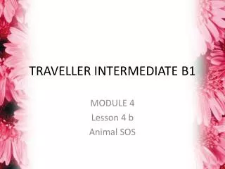 TRAVELLER INTERMEDIATE B1