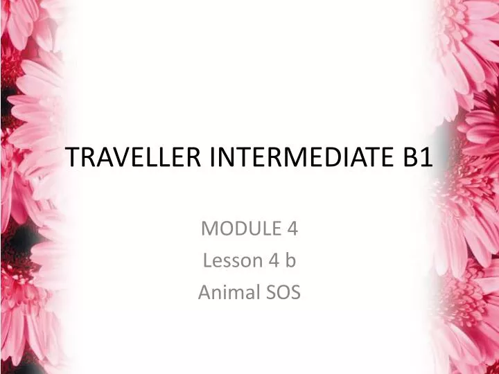 traveller intermediate b1