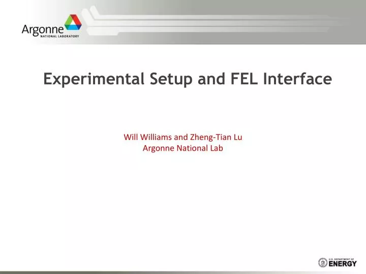 experimental setup and fel interface