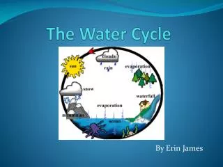 The Water Cycle