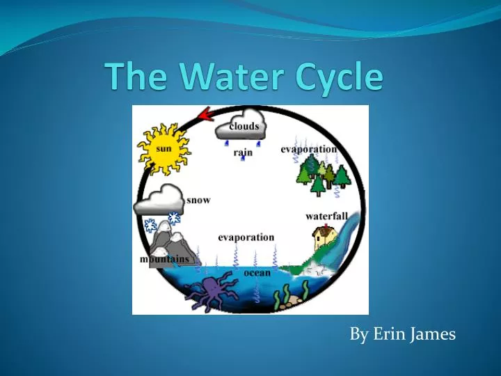 the water cycle