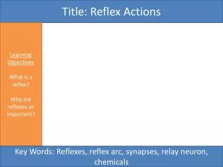 Title: Reflex Actions