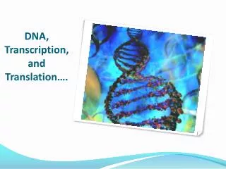 DNA, Transcription, and Translation….