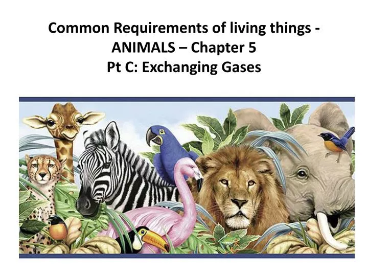 common requirements of living things animals chapter 5 pt c exchanging gases