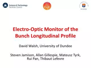 Electro-Optic Monitor of the Bunch Longitudinal Profile