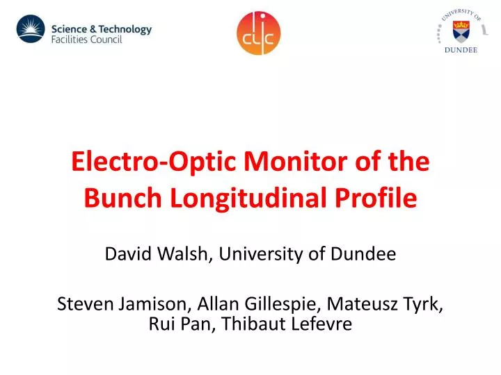electro optic monitor of the bunch longitudinal profile