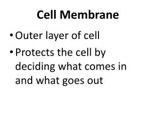 Cell Membrane