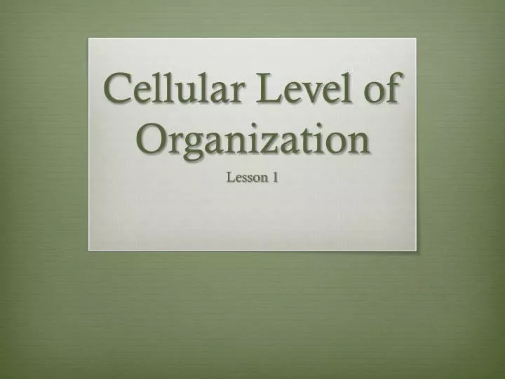 cellular level of organization