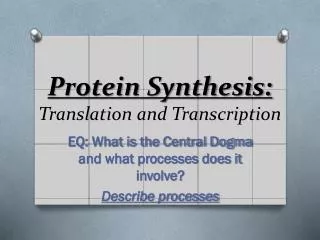 Protein Synthesis: Translation and Transcription