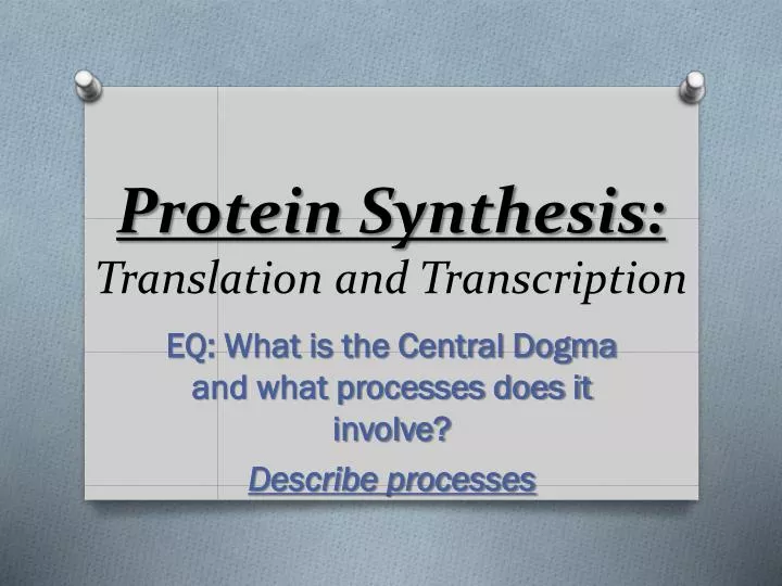 protein synthesis translation and transcription