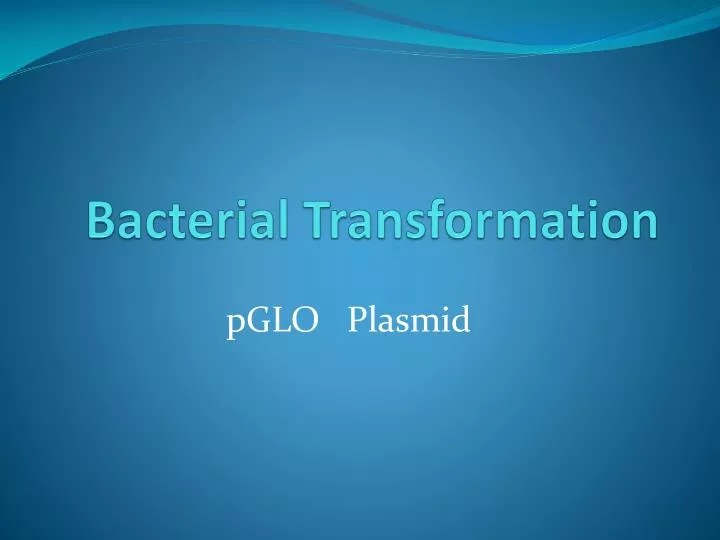 bacterial transformation