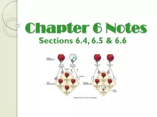 Chapter 6 Notes