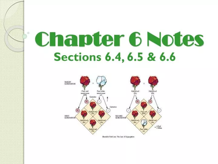 chapter 6 notes