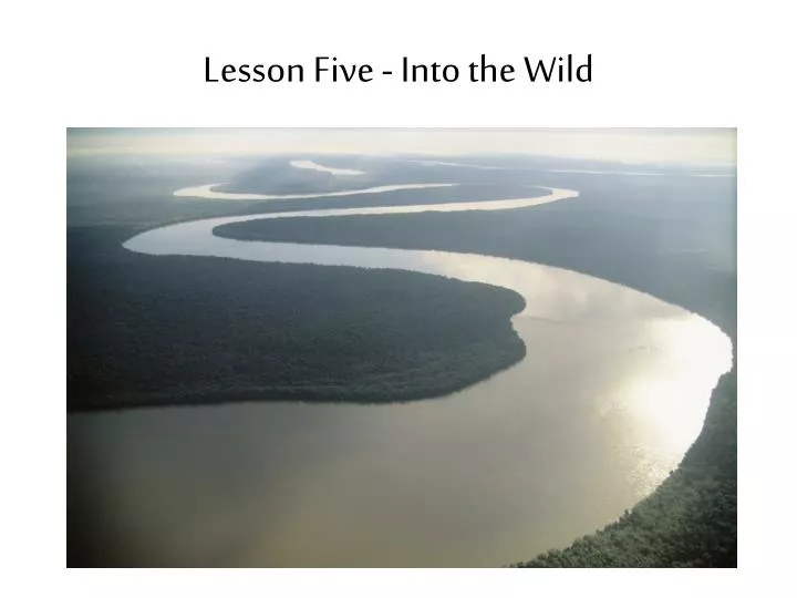 lesson five into the wild