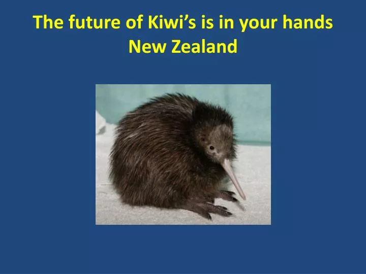 the future of kiwi s is in your hands new zealand