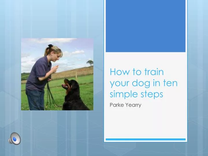 how to train your dog in ten simple steps