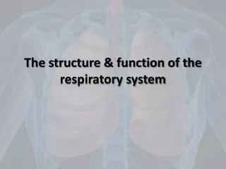 The structure &amp; function of the respiratory system
