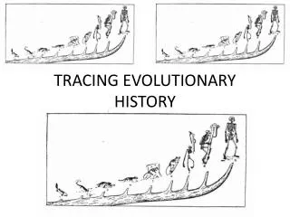 TRACING EVOLUTIONARY HISTORY
