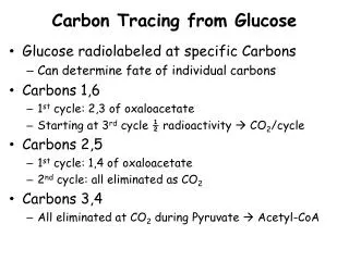 Carbon Tracing from Glucose