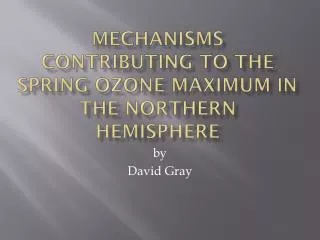 Mechanisms contributing to the Spring ozone maximum in the Northern Hemisphere