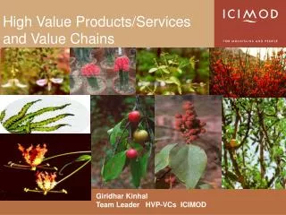 High Value Products/Services and Value Chains