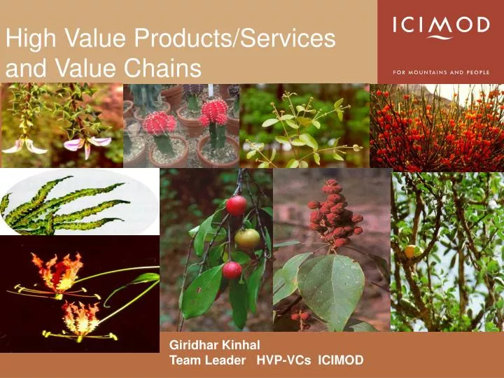 high value products services and value chains
