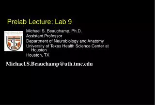 Prelab Lecture: Lab 9