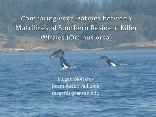 Comparing Vocalizations between Matrilines of Southern Resident Killer Whales ( Orcinus orca)