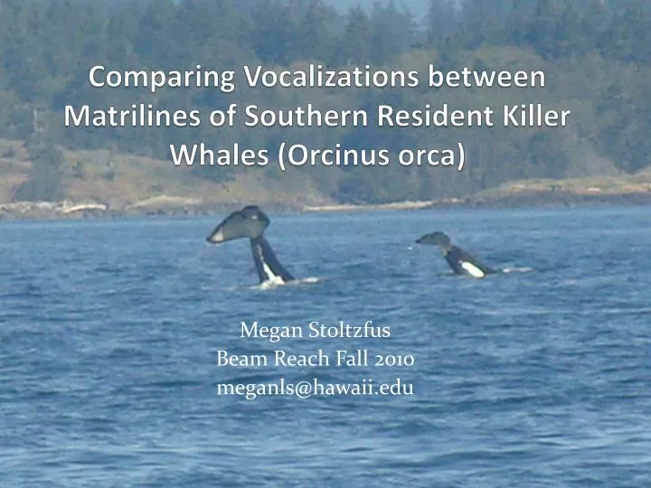 comparing vocalizations between matrilines of southern resident killer whales orcinus orca