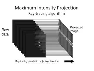 Maximum Intensity Projection Ray-tracing algorithm