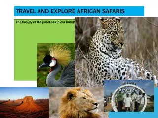 TRAVEL AND EXPLORE AFRICAN SAFARIS