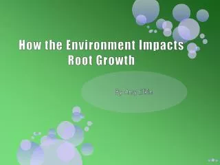 How the Environment Impacts Root Growth