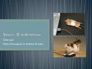 souris d ordinateur