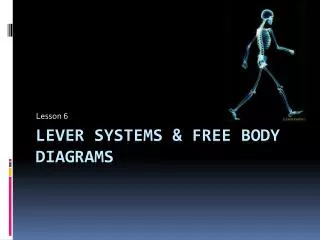 Lever Systems &amp; Free Body Diagrams