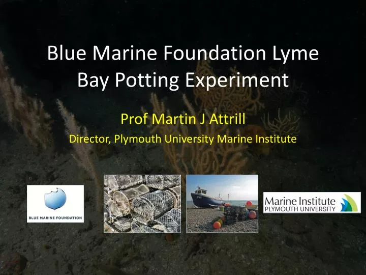 blue marine foundation lyme bay potting experiment