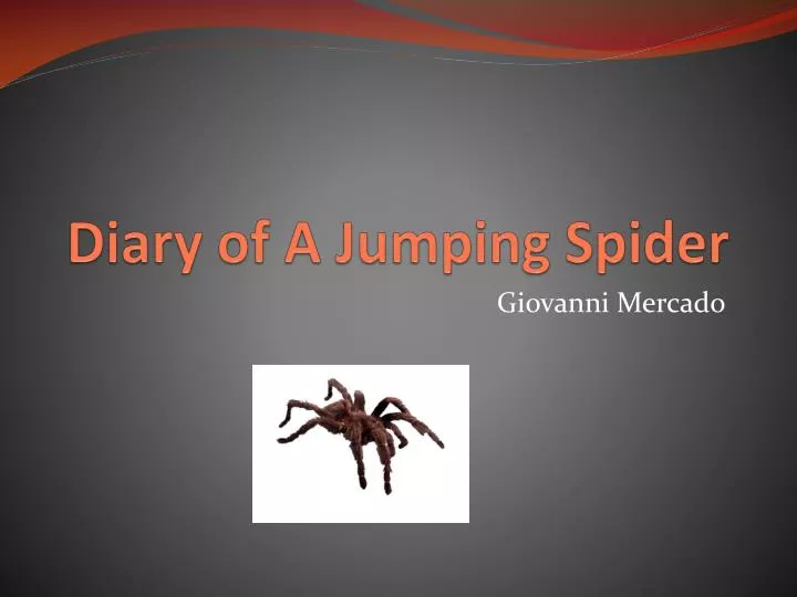 diary of a j umping spider