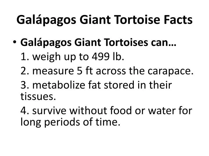 gal pagos giant tortoise facts