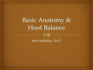 Basic Anatomy &amp; Hoof Balance