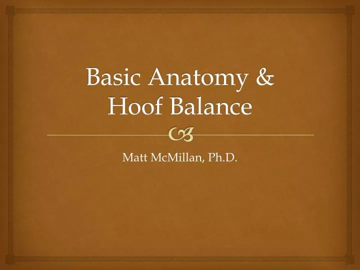 basic anatomy hoof balance