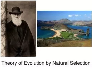Theory of Evolution by Natural Selection