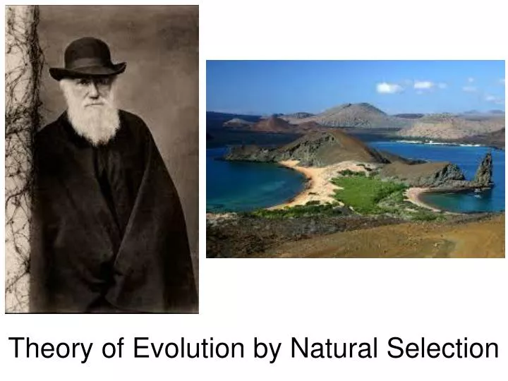 theory of evolution by natural selection