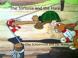 The Tortoise and the Hare