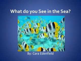 What do you See in the Sea?