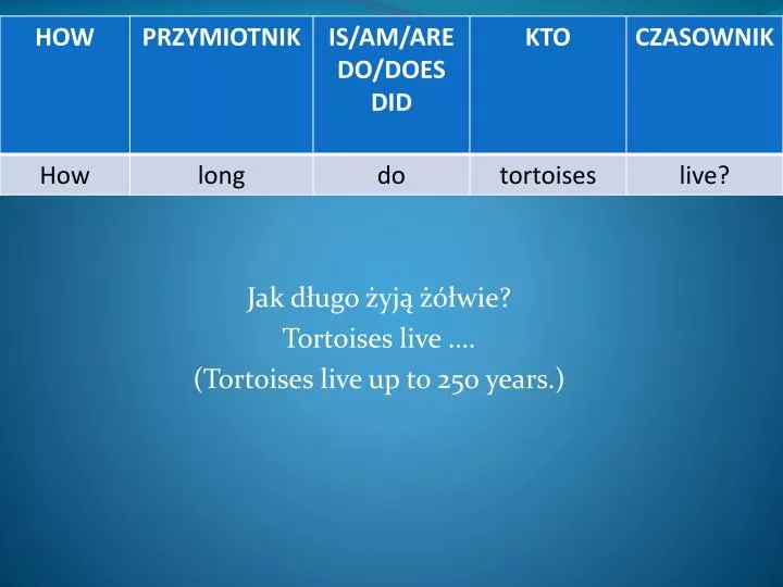 jak d ugo yj wie tortoises live tortoises live up to 250 years
