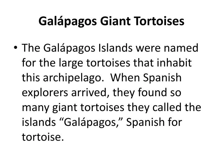 gal pagos giant tortoises