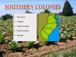 SOUTHERN COLONIES