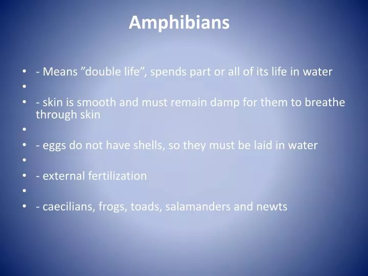 amphibians