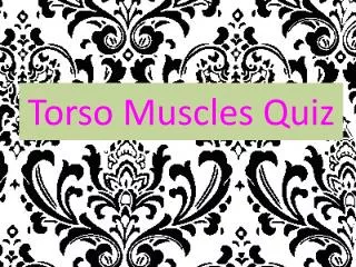 Torso Muscles Quiz