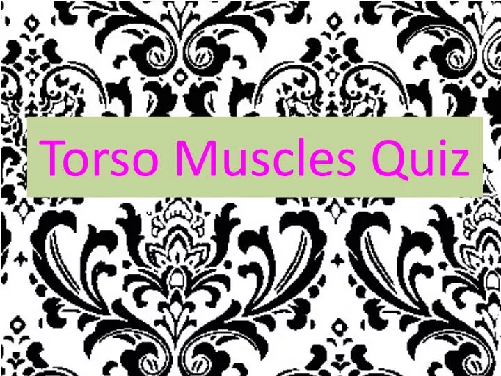 torso muscles quiz