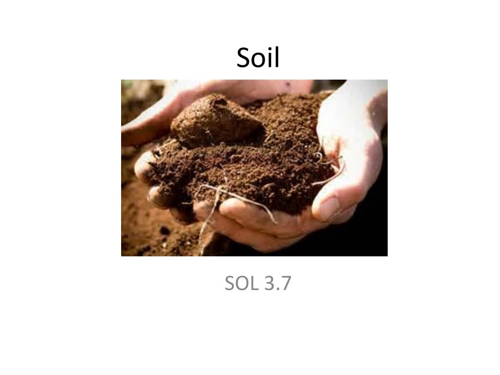 PPT - Soil PowerPoint Presentation, free download - ID:2487568
